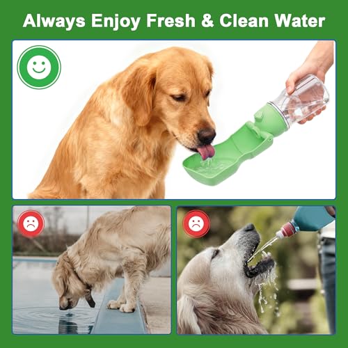 Amerisun Dog Water Bottle, 16.9 OZ Collapsible Leak-Proof Pet Water Bowl | Collapsible Water Bottle,Suitable for Dog, Cat, Puppy, Guinea Pig, Hamster & Bunny. Ideal for Walking, Hiking (A012B-Green) - color: A012B-Green