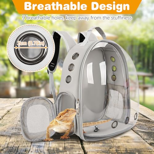kathson Bearded Dragon Carrier with Harness and Leash Set, Large Reptile Travel Carrier Portable Lizard Backpack Clear Small Animals Carrying Bag for Gecko Hamster Rabbit Hedgehog Kitten (Gray) - color: Gray