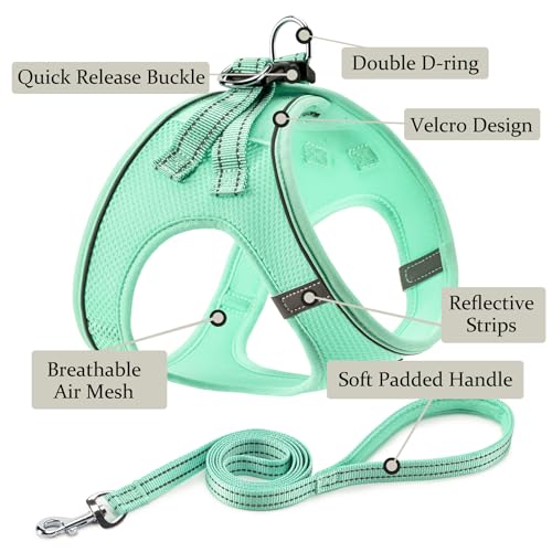 Dog Harness with Leash Set, Step-in Adjustable Puppy Pet Vest, Green XXS | Lightweight Breathable Air Mesh, Night Safety Reflective, No Pull Puppy Vest Harnesses for Small Medium Large Dogs, Cats - color: Green, size: XXS(Chest:10"-12")