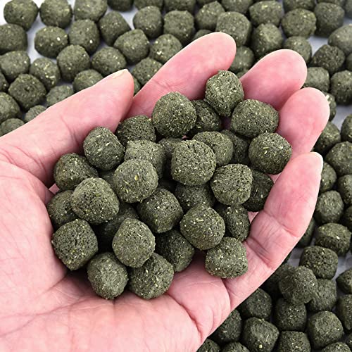 Timothy Hay Cubes, 6oz Small Pet Feed | 100% natural timothy hay cubes, specially for rabbits, sulcata tortoises, guinea pigs - size: 6 Ounce (Pack of 1)