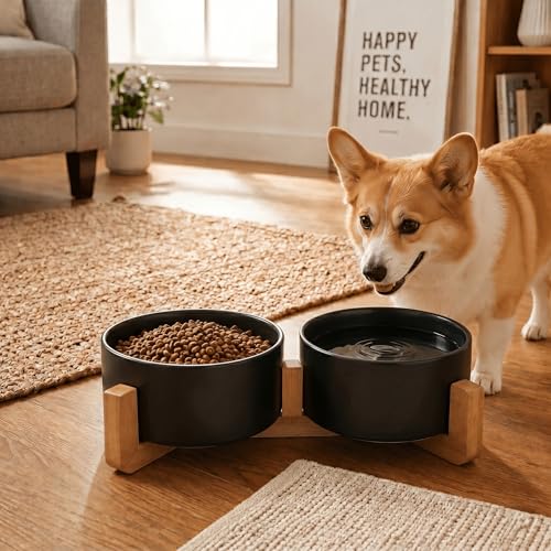SPUNKYJUNKY Ceramic Dog and Cat Bowl Set with Wooden Stand, Modern Cute Weighted Food Water Set for Small Size Dogs (13.5OZ) & Medium Sized Dogs (28.7OZ) & Cats (3.6 Cups, 2 × Black) - color: Black × 2, size: 3.6 cups