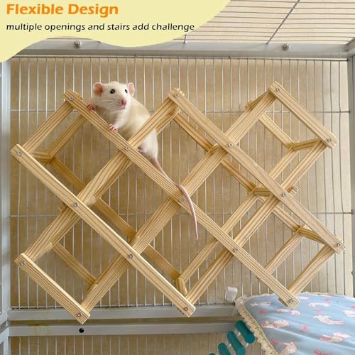 Kiln-Dried Wood Rat Climb Toy, Hanging Cage Ladder Activity (L, 1pc) | Natural Rat Cage Bridge, Multiple Openings & Directional Ramps Offer Challenges to Satisfy Rats' Instincts for Explore & Play - style: L, 1pc