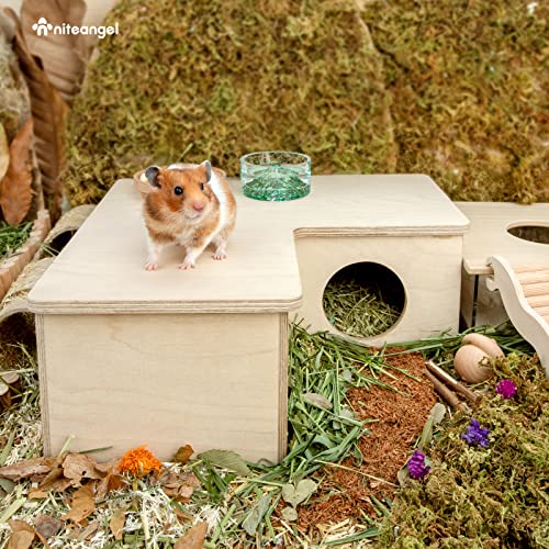 Niteangel Multi-Chamber Hamster House Maze: 1 Entrance 3 Rooms Maze Habitat | No-Disturb Removable Lid - Encourage Pets Hide and Explore Freely Hideout & Tunnel Maze Toys for Hamster Gerbils Mice Lemming - size: 3-Room Large