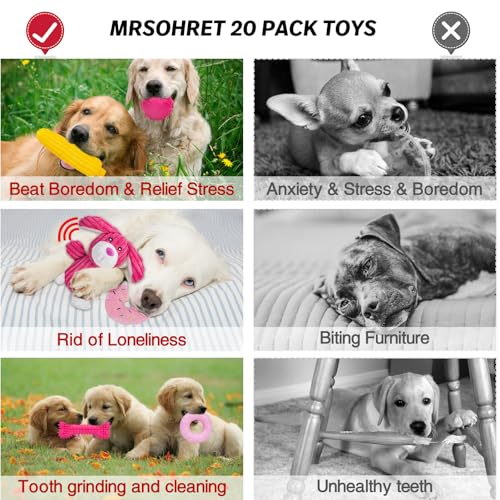 MRSOHRET 20Pcs Puppy Chew Toys for Teething, Dog Chew Rope Toys, Pet Dog Toothbrush, Treat Balls, Plush Squeaky Toy for Small Medium Dogs with Basket - color: 20 Pack Rabbit Style