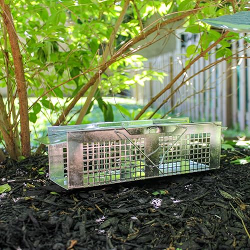 Havahart X-Small Animal Trap, 2-Door Humane Trap for Mice, Voles, Shrews | Humane Catch & Release Trap for Moles & Small Rodents, Galvanized Steel Mesh Construction, Weather-Resistant, Mouse Traps