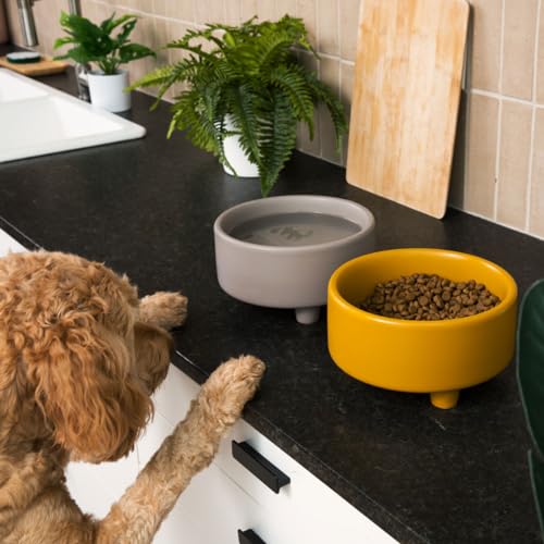 Waggo Uplift Ceramic Dog Bowl for Small Medium and Large Breeds - Heavyweight and Durable Pet Food and Water Dish Crock, Dishwasher Safe, Modern, Elevated Feeder (Mustard, Small) - color: Mustard, size: Small