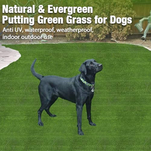 GLOBREEN Extra Large Fake Grass for Dogs Potty, 6 FT X 8 FT Artificial Grass Turf Rug for Puppy Patio Kennel Backyard, Waterproof Easy to Cut - size: 6FTX8FT