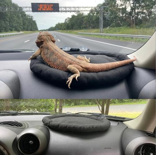 Bearded Dragon Bed, Mat for Car Lizard Sleeping Bed Adsorbed on Glass Jar Cushion Washable for Travel Reptile Tank Accessories Small Animal Carrier for Lizard Leopard Gecko (Black) (Black)