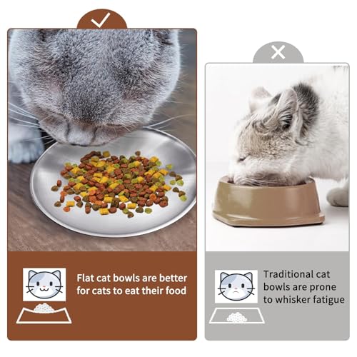 Fhiny 12-Piece Stainless Steel Cat Dish Set, 5.5" Wide, Shallow Kitten Feeding Plate, Basic Small Pet Bowl, Metal Flat Dish for Stray Cats & Dogs