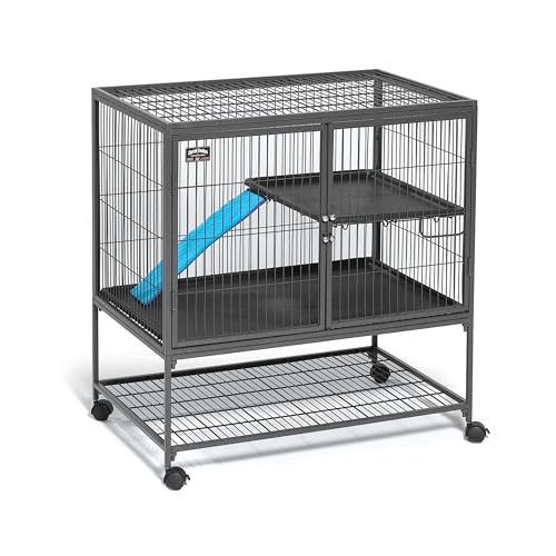 MidWest Homes for Pets Ferret Nation Single Unit Small Animal Cage, 2 Tiers, Includes Pan, Shelf, Ramp & Cover, for Ferrets & Other Small Animals - color: Black: 1 Inch Wire Spacing: Ferret Nation, size: Single Story
