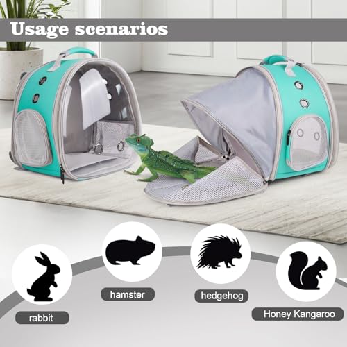 WEVONIGU Expandable Small Animal Backpack Carrier with Clear Bubble Window Large Space Travel Cage for Hedgehog Rat Parrot,Bearded Dragon,Sugar Glider,Airline Approved (Green, BE Backpack) - color: Green, size: BE Backpack