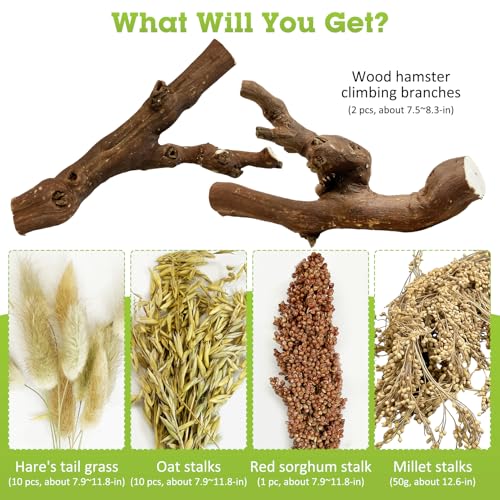 Tfwadmx 2PCS Wood Hamster Climbing Branches & Small Animal Natural Ear of Grain Spray Hamster Bedding Habitat Decor Rat Exercise Toys Treat Cereal Grain for Hamsters Gerbils