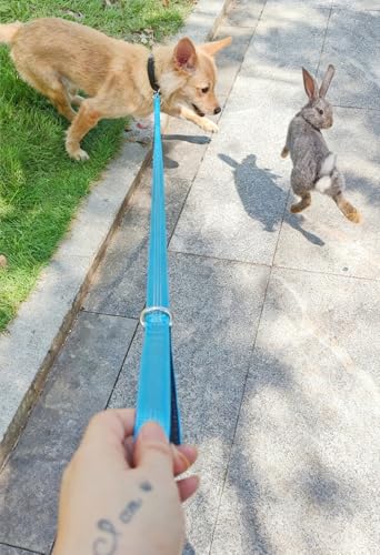 5FT Bungee Dog Leash Shock Absorbing Reflective Nylon Lead 2cm Wide | Soft Handle- Lightweight- Anti-Pull Training for Small/ Medium Dogs- 6 Colors - color: Teal