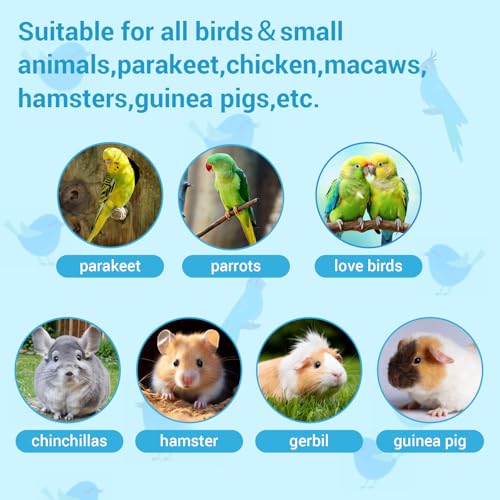 2 Pcs Parrot Feeder Chew Toy Balls, Bird Foraging Interactive Toys, Suitable for Small Animals and All Birds,Parakeet,Parrots,Lovebirds,Macaws,Hamsters,Guinea Pigs