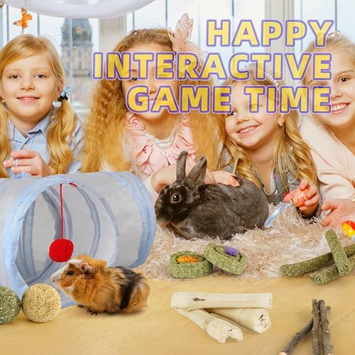 Bunny Tunnels & Tubes Collapsible 3 Way Rabbit Hideout with 13pcs Toys for Bunny Guinea Pig Hamster Chinchilla Hedgehog Rat Ferret Kitten (GY&BU) - color: GY&BU