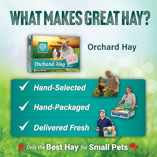 Small Pet Select Orchard Grass Hay Pet Food, 20 Lb. - size: 20 Pound (Pack of 1)