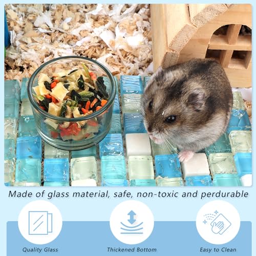 2 Pcs Hamster Food and Water Bowl Glass Anti-Turning Transparent Dish for Hamster and Other Small Pet