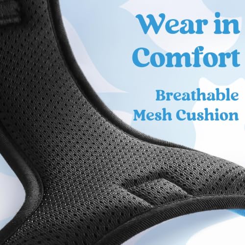 rabbitgoo Dog Harness Small Sized, Updated Easy On & Off with 3 Buckles | No Pull No Choke, Walking with 2 Clips and Handle, Adjustable Soft Reflective, Sky Blue, Small - color: Sky Blue, size: Small