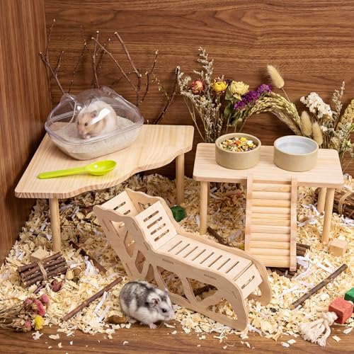 Qunclay 5 Pcs Hamster Wooden Platform Hideout Tunnels Climbing Ladder Toys with Hamster Bath Container Exploring Decor Cage Accessories for Small Animal Dwarf Syrian Mice Degus Gerbils - style: Cute