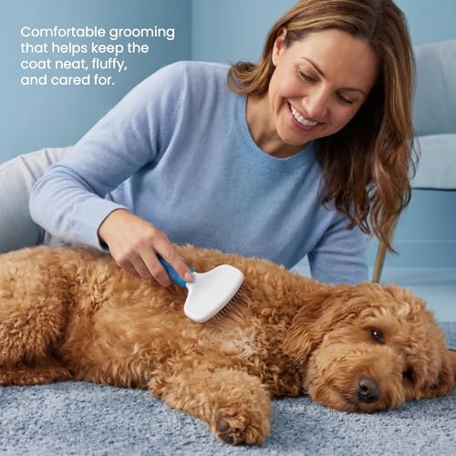 Poodle Pet Slicker Brush - For Dogs, Cats, and Rabbits - Removes Matted Fur, Knots, and Loose Hair - Suitable for Grooming Doodles and Goldendoodles with Short or Long Hair - color: Blue, size: Regular Size