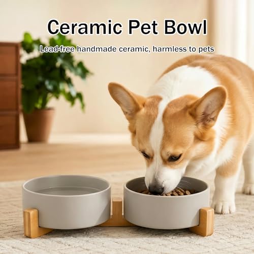 MateeyLife Ceramic Dog and Cat Bowls with Stand, 2-Pack Food and Water Bowl Set - Non-Slip Pet Bowls for Small & Medium Size Dogs，28.7OZ(Grey) - color: Grey, size: M-3Cup
