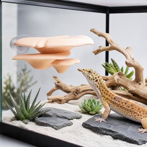 Mushroom Decor Climbing Hold Reptile Tank Pet-Safe Bearded Dragon | Tank Accessories, Climbing Rest Platform Habitat, Concealed Jumping Spider Habitat, Gecko Lizards Leopard, Turtle Hermit Crab