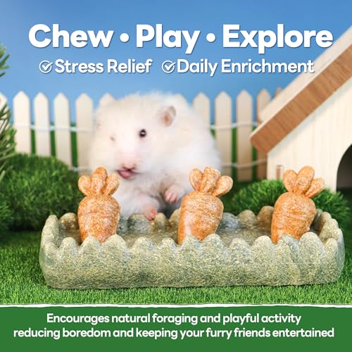 TEEWY Guinea Pig Chew Toys, Prevent Teeth Overgrowth, Natural Timothy Grass & Vegetables, Hamster Chew Toys, Guinea Pig Toys, Chinchilla Toys, 4PCS, Grass Patch & Carrots - style: 4PCS-Grass Patch & Carrots