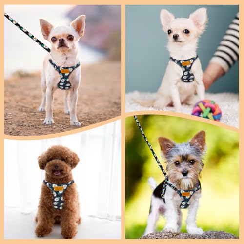Lukovee Puppy Harness and Leash Set, No Pull, Lightweight Step in Vest | Adjustable, Soft Suede Vest, Easy Put on and off Pet Harness with Snap Buckle & 51in Leash for Small Medium Dogs (Black, XS) - color: ·Black Daisy, size: X-Small ( 5.5-11lb )