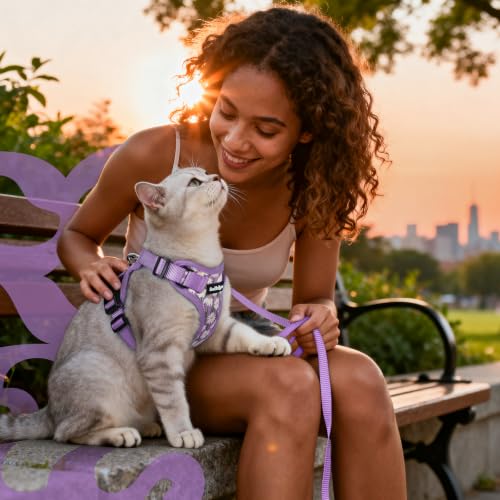 rabbitgoo Cat Harness and Leash Set, Escape Proof Vest, Purr-ple Daisy | Soft Breathable Mesh, Easy Adjustable Fit, Snap Buckles, Sturdy Clip, Reflective Strips, for Kittens & Small Cats Walks, Xxs - color: Purr-ple Daisy, size: Xxs