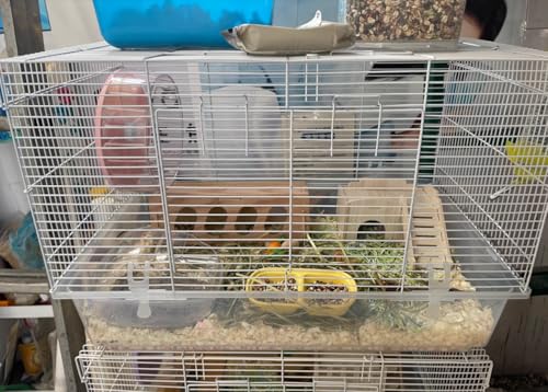 Wood Hamster House, Fun Tiny Hamsters Hideout, Detachable Hut for Dwarf Gerbil Mouse Mice Rat Small Animals(Only for Small Hamster) - color: Flat Roof House