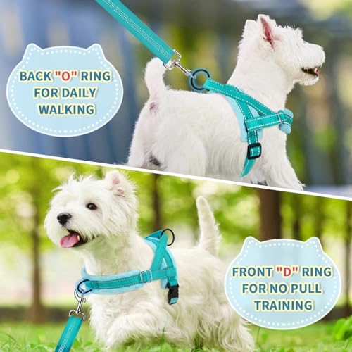 SlowTon No Pull Small Dog Harness and Leash Set with Front Clip | Soft Padded, Neck & Chest Adjustable, Lightweight, Anti-Twist, Puppy Vest Harness Pet Lead Combo for Small Medium Dog, TL XXS - color: Teal, size: XX-Small