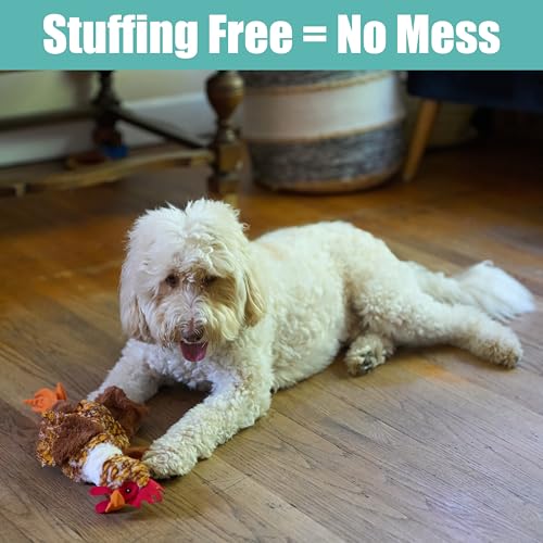 SPOT Skinneeez Chicken 17" Stuffing-Free Plush Dog Toy with Honking Squeaker – Soft, Floppy & Mess-Free Interactive Toy for Medium & Large Dogs – Ideal for Light & Moderate Chewers - style: Chicken