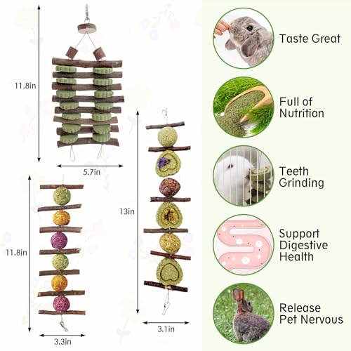 Hamiledyi Bunny Chew Toys Rabbit Hanging Toys for Teeth Grinding Rabbit Toys Natural Fruit Sticks Timothy Grass Cakes Chew Toys and Treats Improve Dental Health for Guinea Pig Hamster Chinchilla - style: Style C