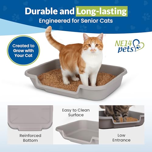 KittyGoHere Senior Cat Litter Box, Large Litter pan with Long-Handle Jumbo Scoop, Open Top Low Entrance Kitty Litter Box, Lightweight Low Entry Litters Box, Durable, Made in USA (Misty Gray) - color: Misty Gray, size: Large with Scoop