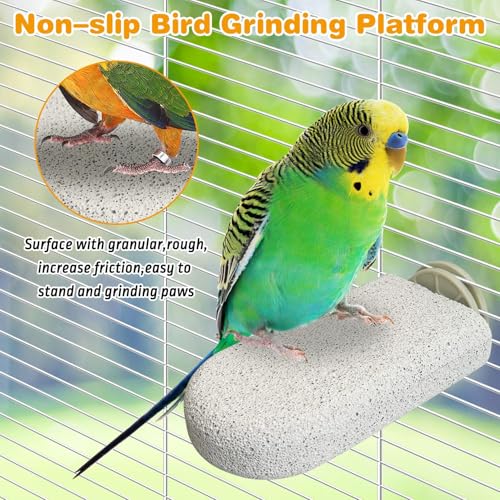 PINVNBY 6 PCS Large Bird Cage Perch Natural Parrot Beak Grinding Stone Calcium Parakeet Chew Toy Bird Stand Platform for Cockatiel Conure Lovebird Finch - color: Grey, size: L, 6 pcs