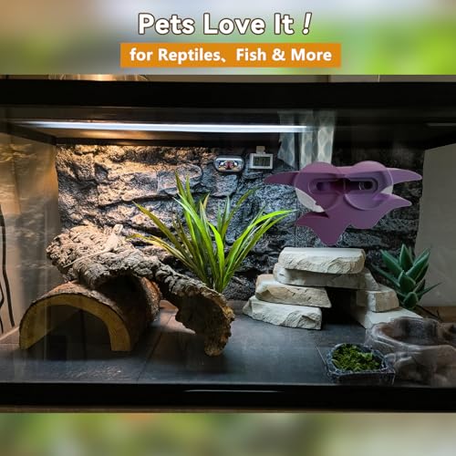 Mushroom Terrarium Decor & Climbing Hold Kit,with 12 Rock Holds, Suction Cups & Adhesive Dots for Geckos, Frogs, Small Lizards & Snakes in Dry/Semi-Moist Habitats (Desert Beige) - color: Desert Beige