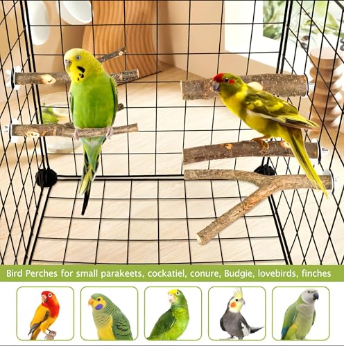 5PCS Natural Wood Bird Perch Set - Straight & Forked Branch Perches Cage Perches Accessories for Small Medium Birds, Parakeets, Budgies, Cockatiels, Conures - size: Essential Perch Bundle - 5PCS
