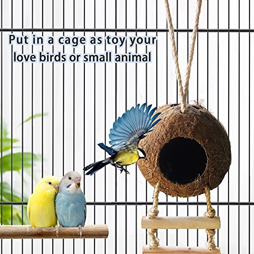 Bird Hides Coconut Nest with Wood Ladder,Syrian Hamster Cage Hanging Natural Coco Shell Hut Hide Toy with Wooden Bridge,Hollow Hideaway Toys for Small Animal Rat Lovebird Finches - size: 1PCS 22.04x13.38in