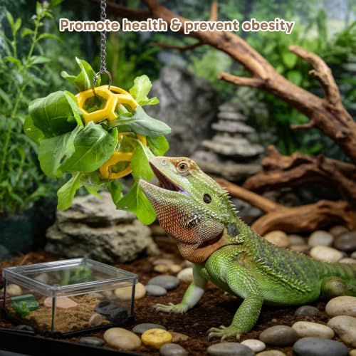 13PCS Bearded Dragon Toys, Set Including 1 Turtle Feeder Ball, 2 Bells Exercise Balls, 10 Climbing Stones,Interactive Toys for Reptile Tank, Lizard and Gecko Play