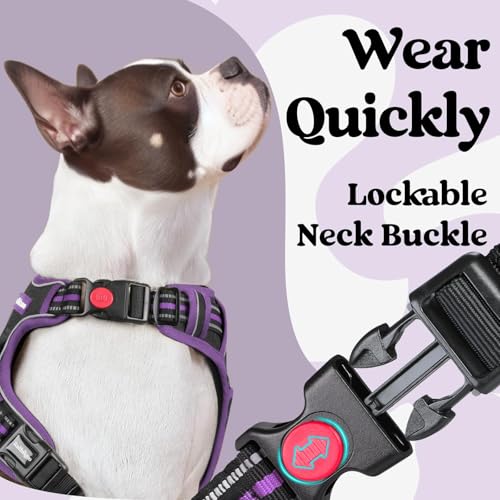 rabbitgoo Dog Harness Small Sized, Updated Easy On & Off with 3 Buckles | No Pull No Choke, Walking with 2 Clips and Handle, Adjustable Soft Reflective, Black & Purple, Small - color: Black & Purple, size: Small