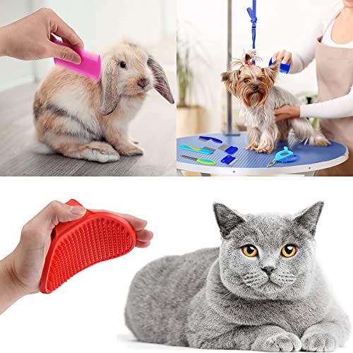 13 PCS Small Animal Grooming Supplie, Nail Clipper and Trimmer, Pet Hair Remover Comb, Small Animal Massage Brush Double-Sided Comb and Toothbrush for Dog Bunny Rabbit Hamster