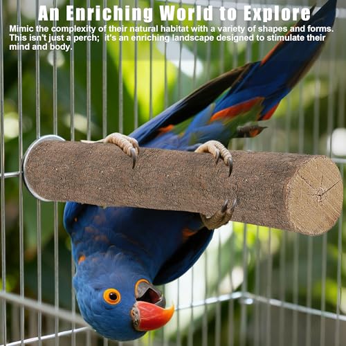 6 PCS Bird Perch Set | Natural Birch Wood, Straight & Forked Perches with Platforms, For Parakeets, Cockatiels, Conures, Lovebirds, Cage Accessories