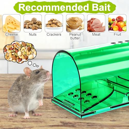 2 Pcs Humane Mouse Traps, Reusable Mice Trap Live Rat Cage Indoor Outdoor | Green, PC Material, Reusable Capture & Release, Use for Home, Waterproof - size: 2 Pack