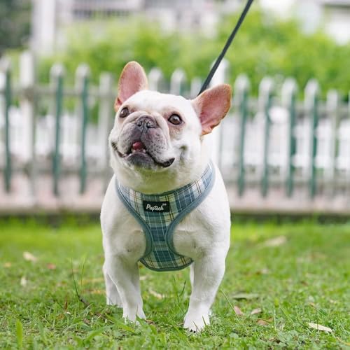 PUPTECK Soft Mesh Dog Harness and Leash Set Pet Puppy Cat Comfort Padded Vest No Pull Harnesses, Sky Blue, S - color: Sky Blue, size: S (NECK: 12", CHEST: 14"-18")