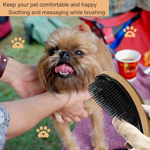 Puppy Brush, Soft Dog Brush for Grooming, Puppy Hair Remover Brush Comb, Grooming Tool for Poodles,Teddy, Yorkies, Maltese, Shih Tzu, Chihuahua, Gold - color: Gold