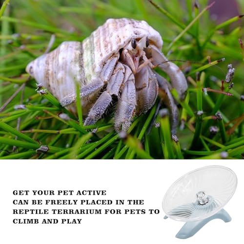 Hermit Crabs Wheel Toy, Hamster Running Wheel Toys, Small Animals Cage Accessory, Tank Accessory, Suitable for Hermit Crab Hamster Rat - color: Light Blue, size: Small