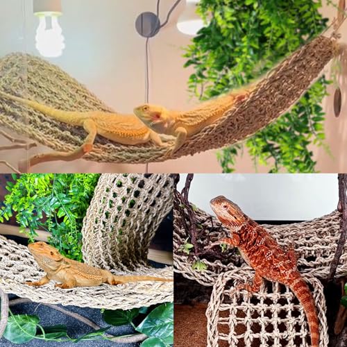 Tfwadmx 2 Pack Large Bearded Dragon Hammock,30"x7"Lizard Climbing Lounger,Natural Seagrass Reptile Hammocks Tank Accessories with Flexible Vines Jungle Leaves Decor for Geckos Snakes Chameleon