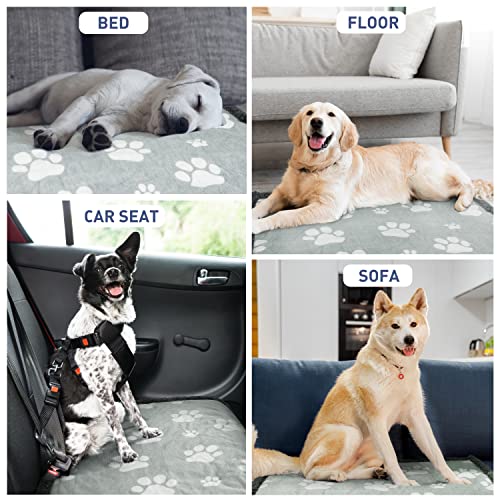 Kritter Planet Waterproof Reversible Pet Blanket for Small Dogs | 20 x 30 Inch, Washable Pet Protector for Crates, Pet Beds and Car Seats, Guards Against Fur, Dirt and Everyday Spills - color: Paw Print, size: 30"x25"