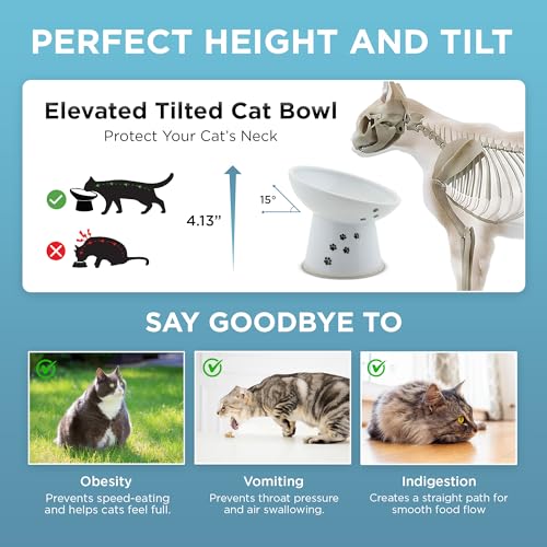 Necoichi Ceramic Elevated Cat Food Bowl, 15° Tilted (Cat, Regular Tilted) - color: Cat, size: Regular Tilted