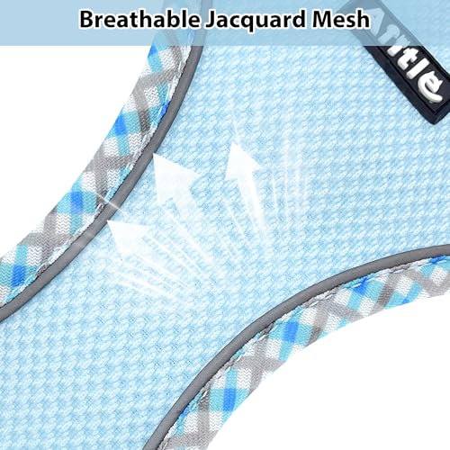 Teacup Puppy Harness with Leash - Adjustable Soft Vest with Magic Tape & Reflective Safety Strips, Easy-Put-On for Poodles, Pomeranians - Gym, Hiking, Travel (Blue, S) - color: Blue, size: S(Chest: 13.5 - 15")